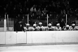St. Cloud State University hockey bench during a game against St. Thomas