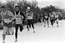 Runners participate in the NCAA Division II cross country championships, St. Cloud State University