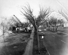 A house is being torn down on 7th Street South, St. Cloud State University