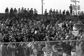 Crowd at St. Cloud State homecoming football game vs. Moorhead State University