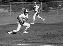 Scott Mansch fields a baseball during a St. Cloud State University baseball game against Augsburg College