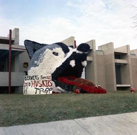 Homecoming outdoor display, St. Cloud State University