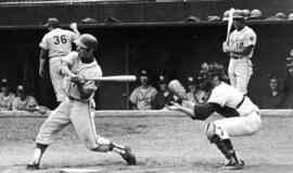 "Shortstop Steve Strandemo strides into the pitch", St. Cloud State University