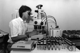 Student looks into a microscope, St. Cloud State