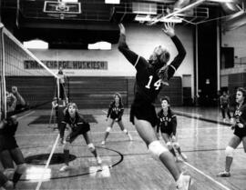 Volleyball player Becky Stream gets jumps to hit a volleyball during a match, St. Cloud State University