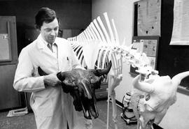 Standley Lewis holds a buffalo head fossil, St. Cloud State University