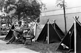 A woman displays tents, Lemonade Concert and Art Fair, St. Cloud State University