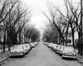 Cars parked on a street near campus, St. Cloud State University
