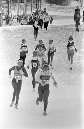 Runners participate in the NCAA Division II cross country championships, St. Cloud State University