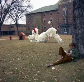 Homecoming outdoor display, St. Cloud State University