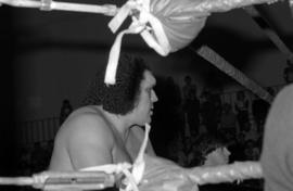 Wrestler Andre The Giant watches the action in the ring at Halenbeck Hall (1965), St. Cloud State University