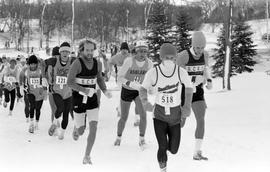 Runners participate in the NCAA Division II cross country championships, St. Cloud State University