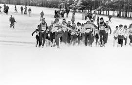 Runners participate in the NCAA Division II cross country championships, St. Cloud State University