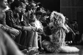 Husky mascot plays with a child during a basketball game