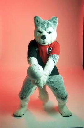 Husky mascot, St. Cloud State University