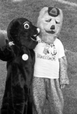 Husky mascot and Beaver mascot during the homecoming football game against Bemidji State University, St. Cloud State University