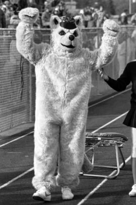 Husky mascot at homecoming football game, St. Cloud State University