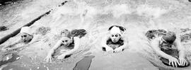 Cheri Losinski, Kathy Wagner, Jill Whiteford, and Brenda Anderson swim, St. Cloud State University