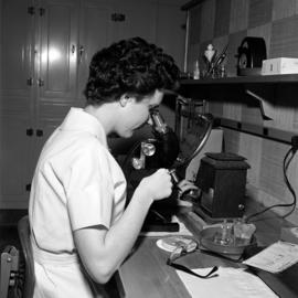 Medical Technology students looks in a microscope, St. Cloud State University