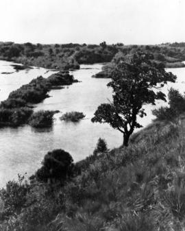 Beaver Islands, St. Cloud State University