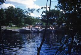 Swimmers at Dodd Quarry 20, St. Cloud State University