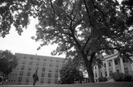 Shoemaker Hall (1915), St. Cloud State University