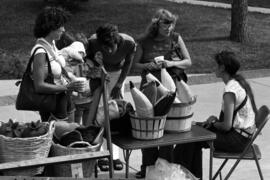 People talk to a vendor, Lemonade Concert and Art Fair, St. Cloud State University