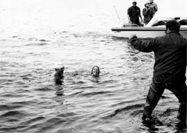 Man and woman swim in an attempt to cross the Mississippi River, St. Cloud State University