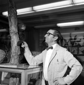 Harry Goehring examines a stuffed animal, St. Cloud State University