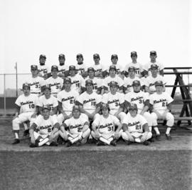 Baseball team, St. Cloud State University