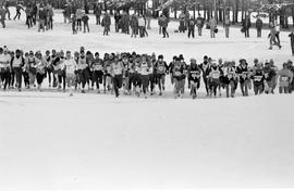 Runners participate in the NCAA Division II cross country championships, St. Cloud State University