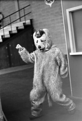 St. Cloud State University Husky mascot at a hockey game
