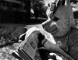 Tim O'Keefe, as the Husky mascot, reads a newspaper, St. Cloud State University