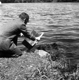 Harry Goehring releases wood ducklings in the Mississippi River near Kiehle (1952), St. Cloud State University