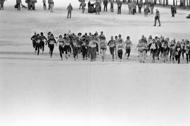 Runners participate in the NCAA Division II cross country championships, St. Cloud State University