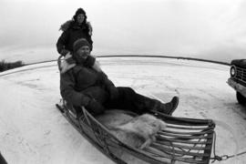 Janice Springer and Bill Dahl on a dog sled, St. Cloud State University