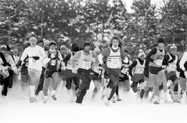 Runners participate in the NCAA Division II cross country championships, St. Cloud State University