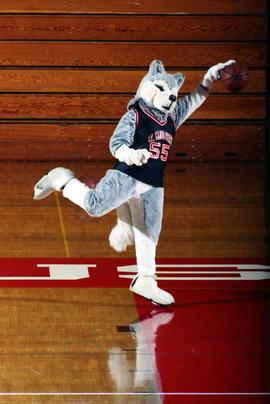 Husky mascot bounces basketball, St. Cloud State University