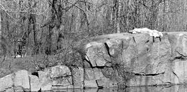 A person tans at the 100 Acres Quarry