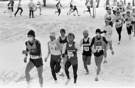 Runners participate in the NCAA Division II cross country championships, St. Cloud State University