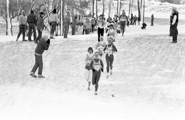 Runners participate in the NCAA Division II cross country championships, St. Cloud State University