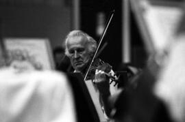 Minnesota Orchestra musician performs, Lemonade Concert and Art Fair, St. Cloud State University