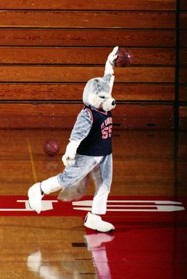 Husky mascot bounces basketball, St. Cloud State University