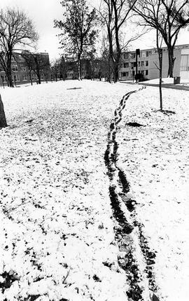 Foot tracks in the snow, St. Cloud State University