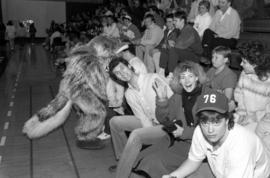 Husky mascot mingles with the crowd, St. Cloud State University