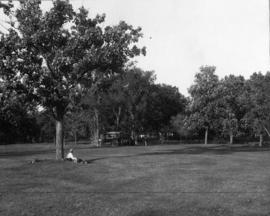 Golf course hole in St. Cloud?