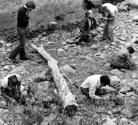 Students study the riverbed, St. Cloud State University